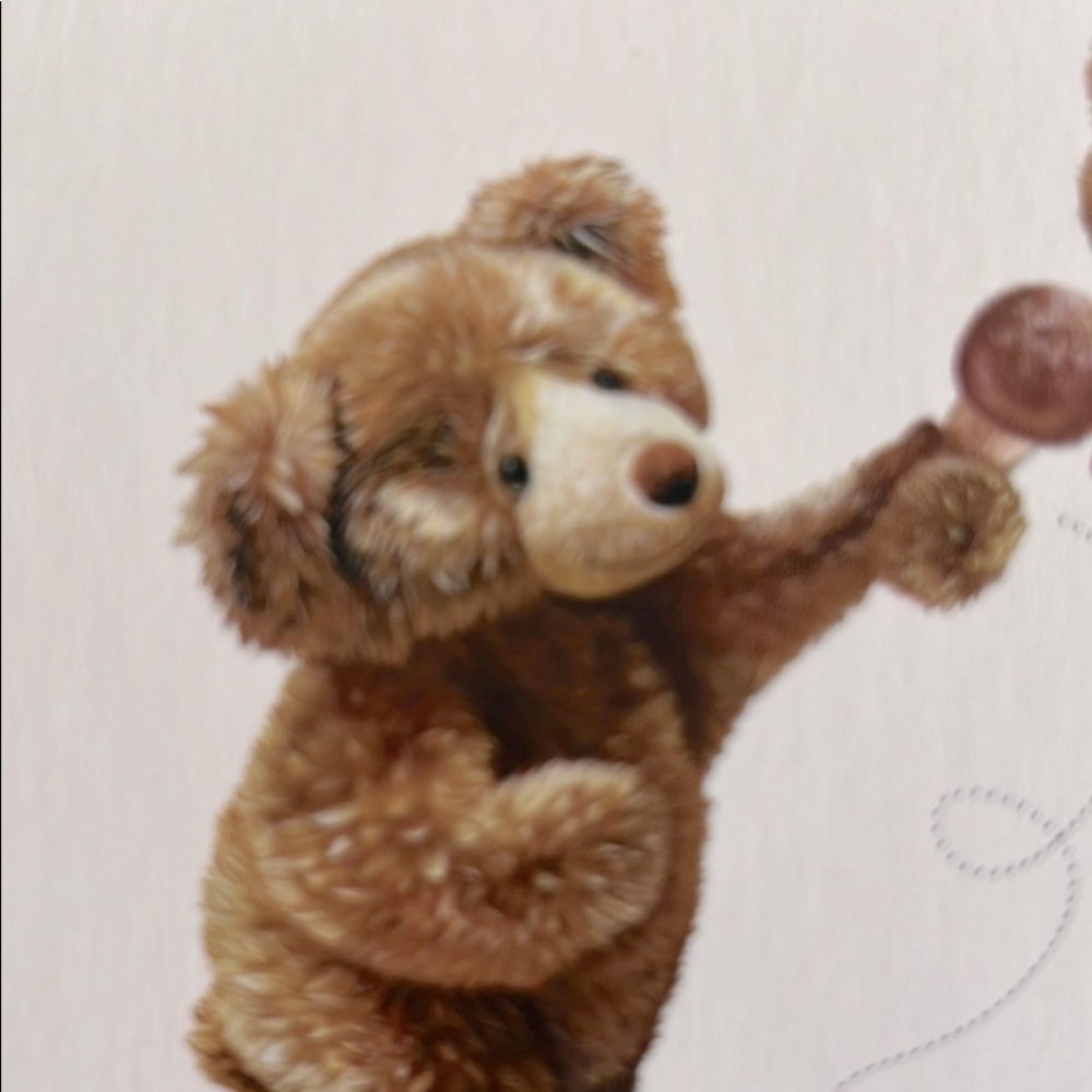 Meet your Posher, Teddy